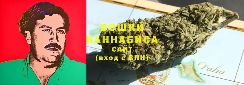 Конопля SATIVA & INDICA  Зима 